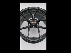 Il nero di lucentezza dell'abete del BBS